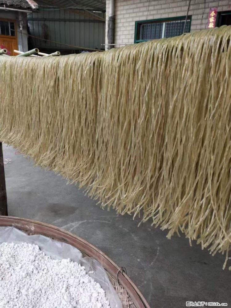 【灌阳正宗红薯粉】美女家里自己做的，干净卫生，假一赔十，价格合理，抢购电话：13737312895 - 土特产 - 饮食特产 - 郑州分类信息 - 郑州28生活网 zz.28life.net