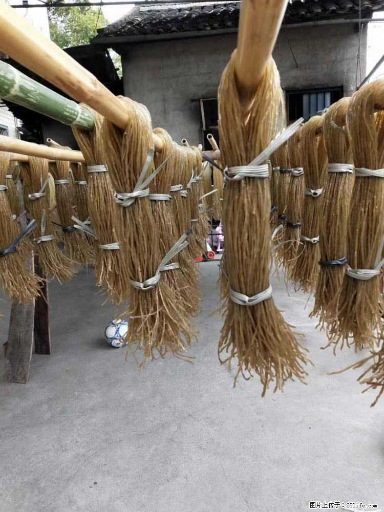 【灌阳正宗红薯粉】美女家里自己做的，干净卫生，假一赔十，价格合理，抢购电话：13737312895 - 美食天地 - 郑州生活社区 - 郑州28生活网 zz.28life.net