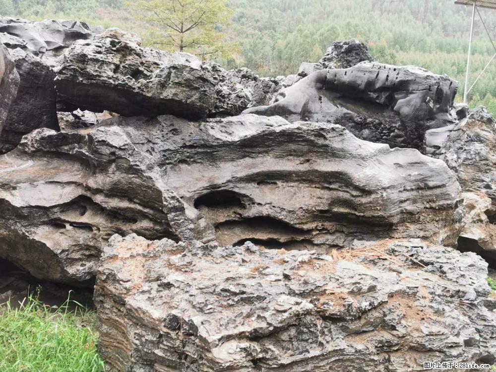 风景石、假山石大量有货，有需要的欢迎联系 - 新手上路 - 郑州生活社区 - 郑州28生活网 zz.28life.net