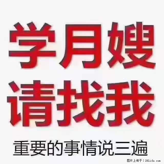 为什么要学习月嫂，育婴师？ - 新手上路 - 郑州生活社区 - 郑州28生活网 zz.28life.net