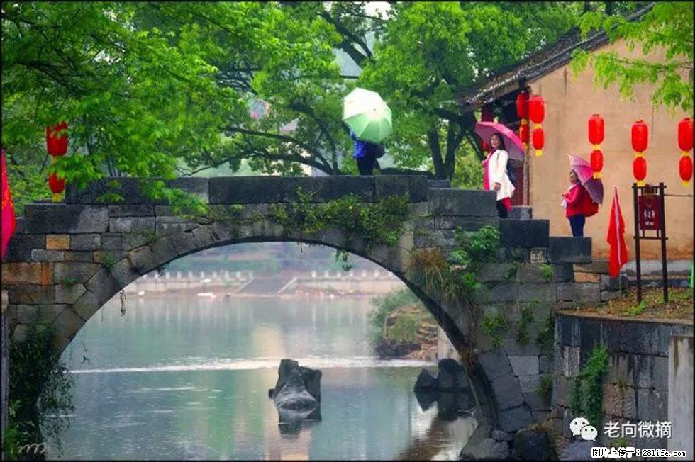 【春天，广西桂林灌阳县向您发出邀请！】江口老街又逢春 - 游山玩水 - 郑州生活社区 - 郑州28生活网 zz.28life.net