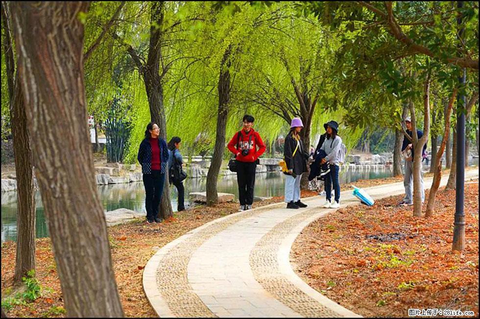 【春天，广西桂林灌阳县向您发出邀请！】江口老街又逢春 - 游山玩水 - 郑州生活社区 - 郑州28生活网 zz.28life.net