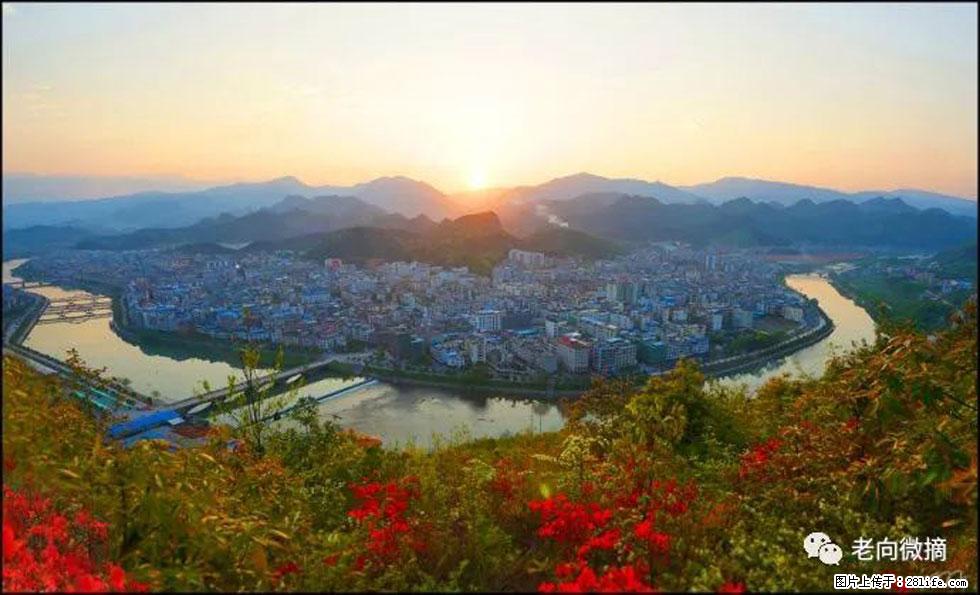 【春天，广西桂林灌阳县向您发出邀请！】登麒麟山，相约映山红 - 游山玩水 - 郑州生活社区 - 郑州28生活网 zz.28life.net