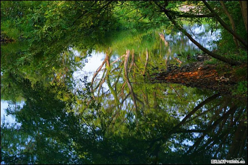 【春天，广西桂林灌阳县向您发出邀请！】熊家寨湿地公园 - 游山玩水 - 郑州生活社区 - 郑州28生活网 zz.28life.net