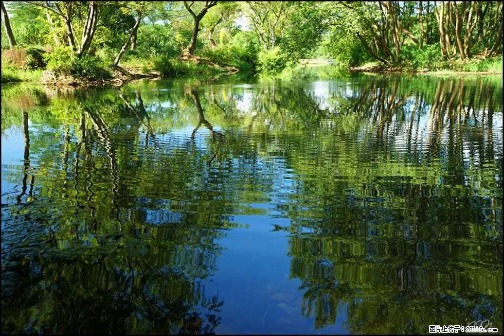 【春天，广西桂林灌阳县向您发出邀请！】熊家寨湿地公园 - 游山玩水 - 郑州生活社区 - 郑州28生活网 zz.28life.net