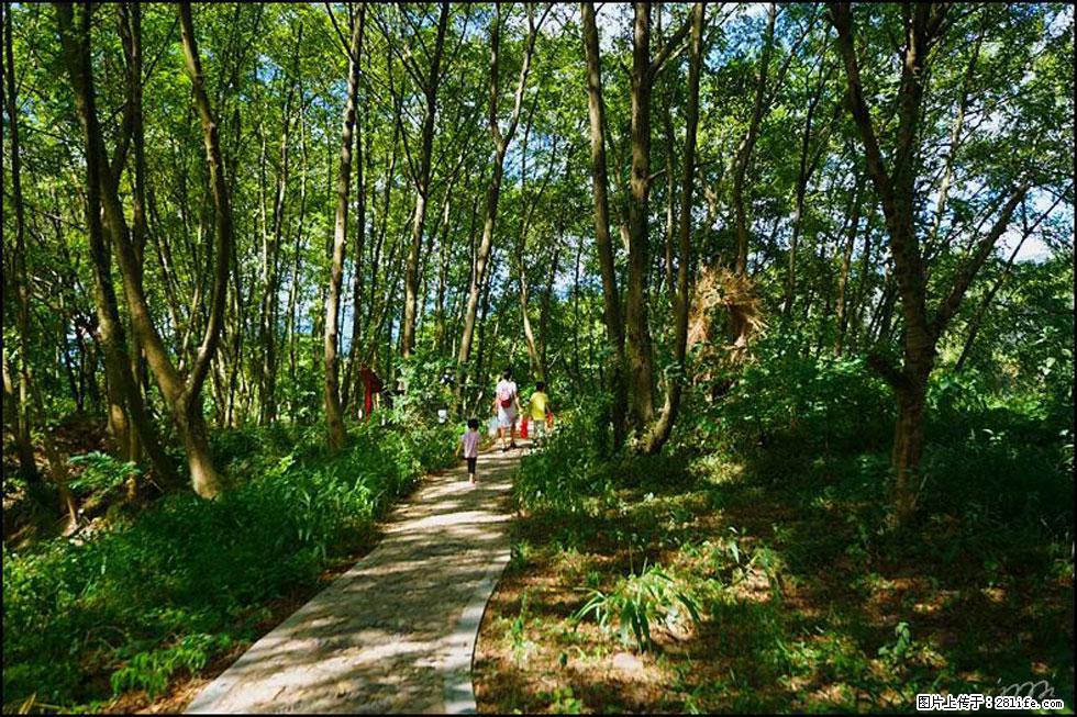 【春天，广西桂林灌阳县向您发出邀请！】熊家寨湿地公园 - 游山玩水 - 郑州生活社区 - 郑州28生活网 zz.28life.net