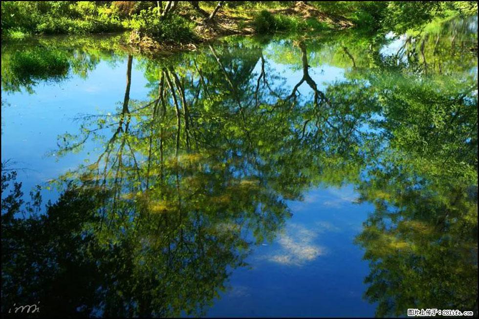 【春天，广西桂林灌阳县向您发出邀请！】熊家寨湿地公园 - 游山玩水 - 郑州生活社区 - 郑州28生活网 zz.28life.net