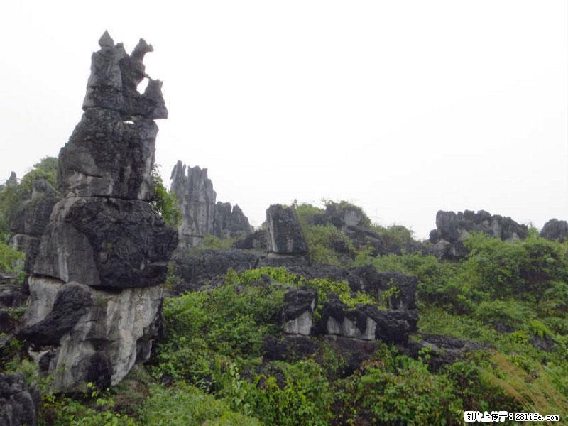 桂林旅游名城景点:灌阳文市石林 - 游山玩水 - 郑州生活社区 - 郑州28生活网 zz.28life.net