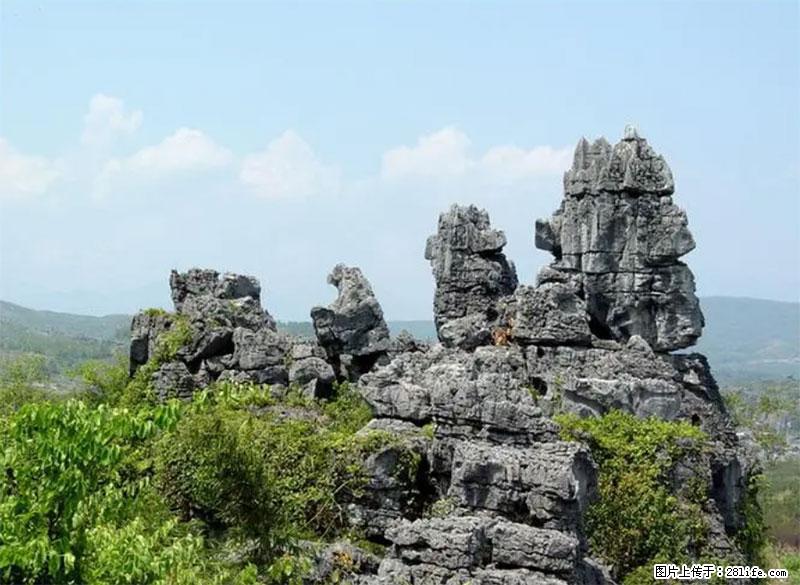 桂林旅游名城景点:灌阳文市石林 - 游山玩水 - 郑州生活社区 - 郑州28生活网 zz.28life.net