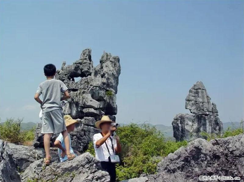 桂林旅游名城景点:灌阳文市石林 - 游山玩水 - 郑州生活社区 - 郑州28生活网 zz.28life.net