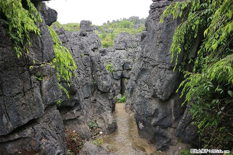 桂林旅游名城景点:灌阳文市石林 - 游山玩水 - 郑州生活社区 - 郑州28生活网 zz.28life.net
