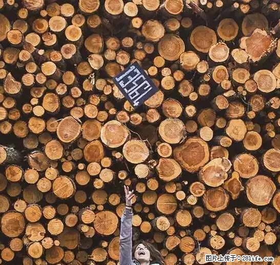 辞掉工作周游世界？现在他们在洗厕所…… - 游山玩水 - 郑州生活社区 - 郑州28生活网 zz.28life.net