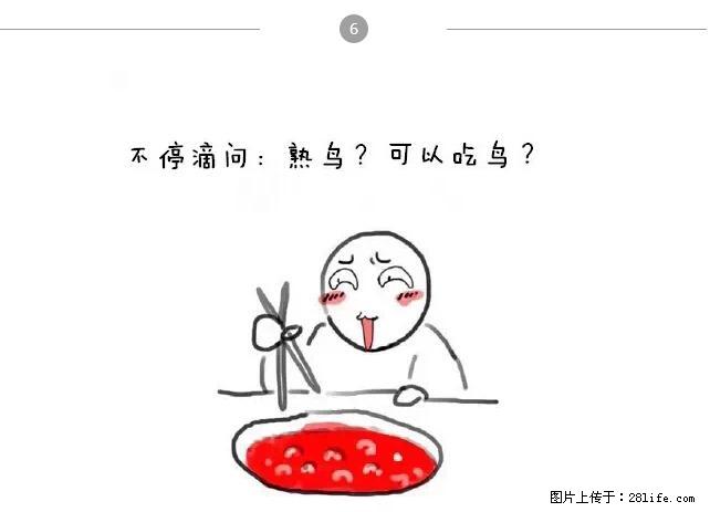 千万不要和这9种哈卵一起吃火锅！ - 美食天地 - 郑州生活社区 - 郑州28生活网 zz.28life.net