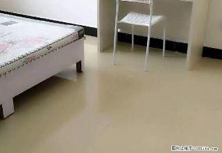 (单间出租)金水 玉凤路 发展国际 楷林国际 1号线地铁口 免费看房 - 郑州28生活网 zz.28life.net