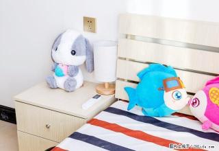 (单间出租)金桥美丽苑 精装次卧 家电齐全 免费光纤 可短租月付 - 郑州28生活网 zz.28life.net