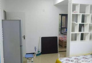 东史马 55平1室1厅 家电齐全 随时看房 随时住 - 郑州28生活网 zz.28life.net