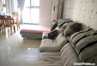 省实验中学旁 陪读好位子 看房方便 精装修 品质小区 - 郑州28生活网 zz.28life.net