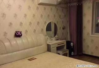 (单间出租)地铁口 华林时代 新世界百货 精装两室 壁柜阳台 精装全齐 - 郑州28生活网 zz.28life.net
