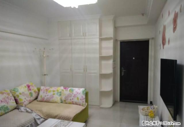 鑫苑世家 新出温馨 精装 一室一厅 家具家电齐全 随时看房、 - 房屋出租 - 房屋租售 - 郑州分类信息 - 郑州28生活网 zz.28life.net
