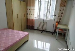 (单间出租)喜讯喜讯了 主卧出租给钱就住了啊 真实信息特价 特价。 - 郑州28生活网 zz.28life.net