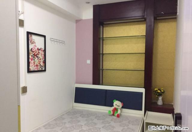 (单间出租)二七万达，鞋城，大学路，航海路，480，O中介，押一付一精装 - 房屋出租 - 房屋租售 - 郑州分类信息 - 郑州28生活网 zz.28life.net