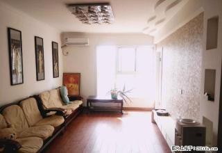 紫荆山路 陇海路 双气精装大三房 看房随时啊 - 郑州28生活网 zz.28life.net