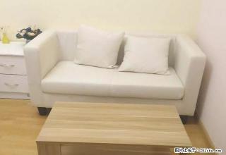 (单间出租)押一付一 鑫苑鑫城 五洲小区 同心苑 财信圣 精品单间出租 - 郑州28生活网 zz.28life.net