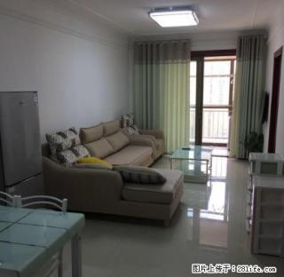 嵩山路升龙城5号院，三室一厅，95平，全新出租 - 郑州28生活网 zz.28life.net