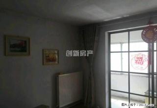 文化路实验中学对面，精装修三室，低楼层一楼双气，商用办公仓储 - 郑州28生活网 zz.28life.net