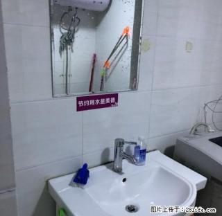 (单间出租)郑汴路青年路绿都广场凤凰城永辉超市环球大厦无中介费 - 郑州28生活网 zz.28life.net