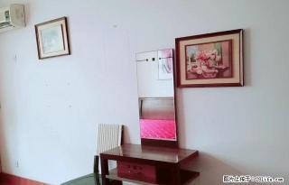 (单间出租)曼哈顿商圈 地铁口 升龙大厦兴业大厦附近金水路未来路精装公寓 - 郑州28生活网 zz.28life.net
