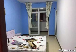 (单间出租)(单间出租)0中介合租曼哈顿CBD金水路民航路地 - 郑州28生活网 zz.28life.net