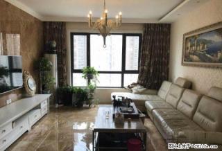 郑东新区 永威翡翠城 欧式精装 南北通透 温馨舒适 拎包入住 - 郑州28生活网 zz.28life.net