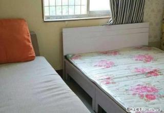 (单间出租)帅租 大上海 丹尼斯大卫城 人民公园豫港大厦 楼下 拎包入住 - 郑州28生活网 zz.28life.net