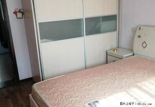 南阳路 林荫大道 精装修南北透通 采光好 拎包入住 图片真实 - 郑州28生活网 zz.28life.net