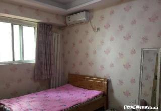 南阳路农业路 开祥御龙城 怡丰新都汇 精装修 可月付 可免押 - 郑州28生活网 zz.28life.net