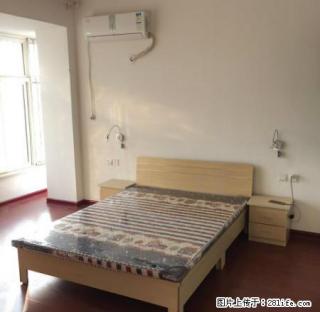 (单间出租)三全路 丰庆路 康居花园 精装一室环境优雅 拎包入住 - 郑州28生活网 zz.28life.net
