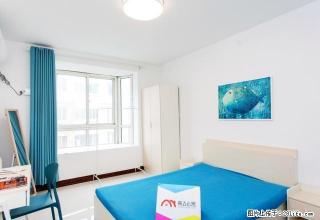 (单间出租)秦岭路万达广场 世纪豫花园 新房 飘窗 空调WiFi 可做饭 - 郑州28生活网 zz.28life.net