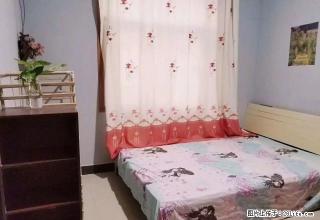 (单间出租)民航路地铁口东区CBD家乐福曼哈顿怡乐商务兴业大厦拎包入住 - 郑州28生活网 zz.28life.net