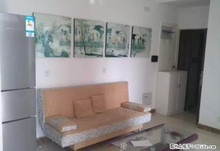中州大道紫东路七里香堤绿城物业精装全齐拎包入住无中介费 - 郑州28生活网 zz.28life.net