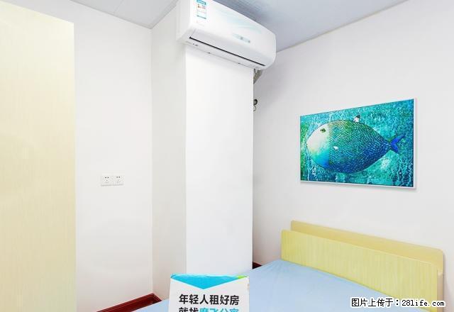 (单间出租)建业魔飞公寓 天旺广场附近 精装次卧朝南 可短租 可月付 - 房屋出租 - 房屋租售 - 郑州分类信息 - 郑州28生活网 zz.28life.net