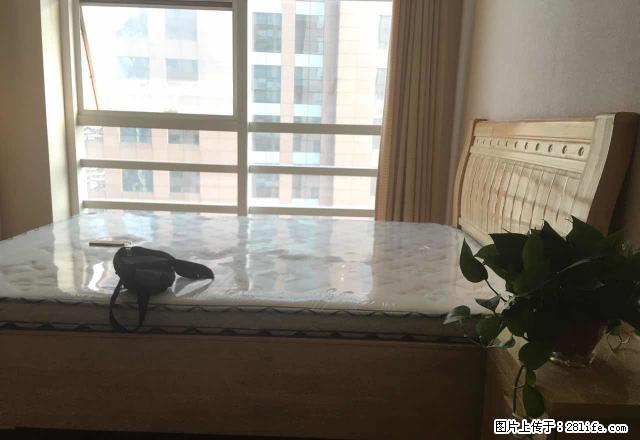 CBD商务内环 中油花园公寓 精装1室1厅 拎包入住 - 房屋出租 - 房屋租售 - 郑州分类信息 - 郑州28生活网 zz.28life.net