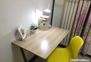 (单间出租)免押金 与支付宝蘑菇租房强强联合 房租月付 燕庄 曼哈顿附近 - 郑州28生活网 zz.28life.net