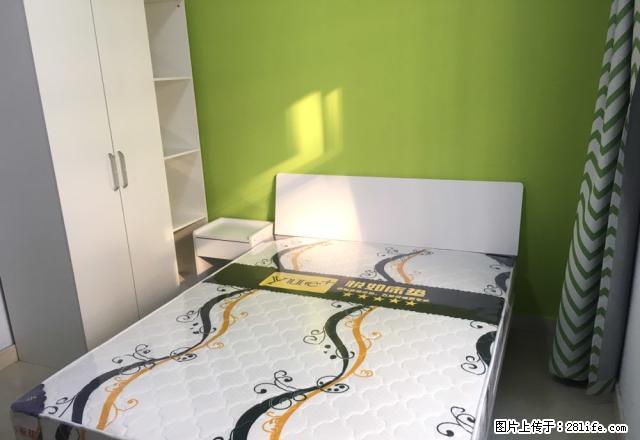 (单间出租)长江路 仁恒上元 特价房 精装全齐 有双气 可短租 可月付！ - 房屋出租 - 房屋租售 - 郑州分类信息 - 郑州28生活网 zz.28life.net