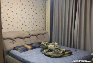(单间出租)地铁口 紫荆阳光地带 婚房全女生 实拍图片温馨舒适拎包入住 - 郑州28生活网 zz.28life.net