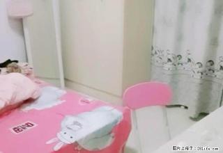 (单间出租)价格真实 凯旋门 漂亮房子 暖气免费无线网 有厨房 精装齐全 - 郑州28生活网 zz.28life.net