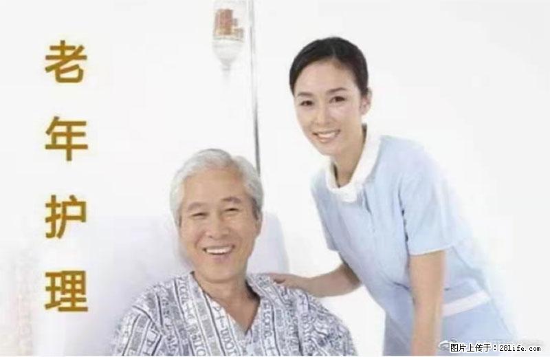 上海国企养老院，星级酒店环境，招聘养老护工 - 职场交流 - 郑州生活社区 - 郑州28生活网 zz.28life.net