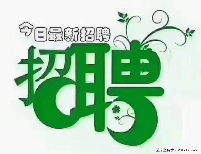 【招聘摄像师】待遇：试用期6000元/月，转正7000元/月+五险一金+餐补+节日福利+奖金 - 职场交流 - 郑州生活社区 - 郑州28生活网 zz.28life.net