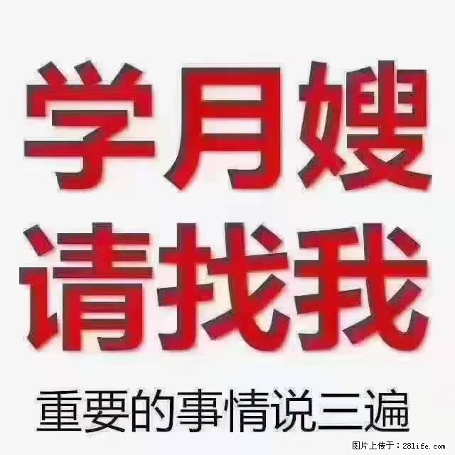 【招聘】月嫂，上海徐汇区 - 职场交流 - 郑州生活社区 - 郑州28生活网 zz.28life.net