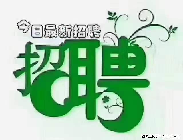 上海青浦区招仓管 - 职场交流 - 郑州生活社区 - 郑州28生活网 zz.28life.net